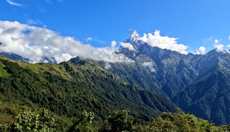 Mardi Himal Trekking